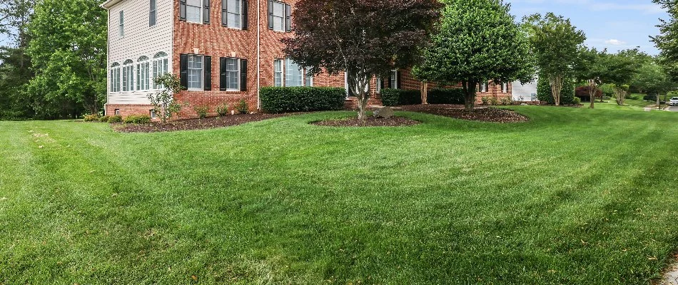 A brick house with trees, landscape, and a lush lawn in Sterling, VA.