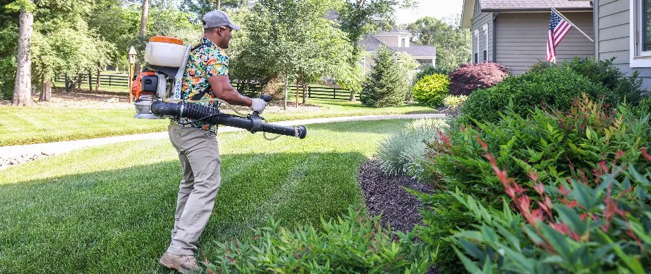 A landscape in Sterling, VA, being treated for pests by a worker with a fogger.