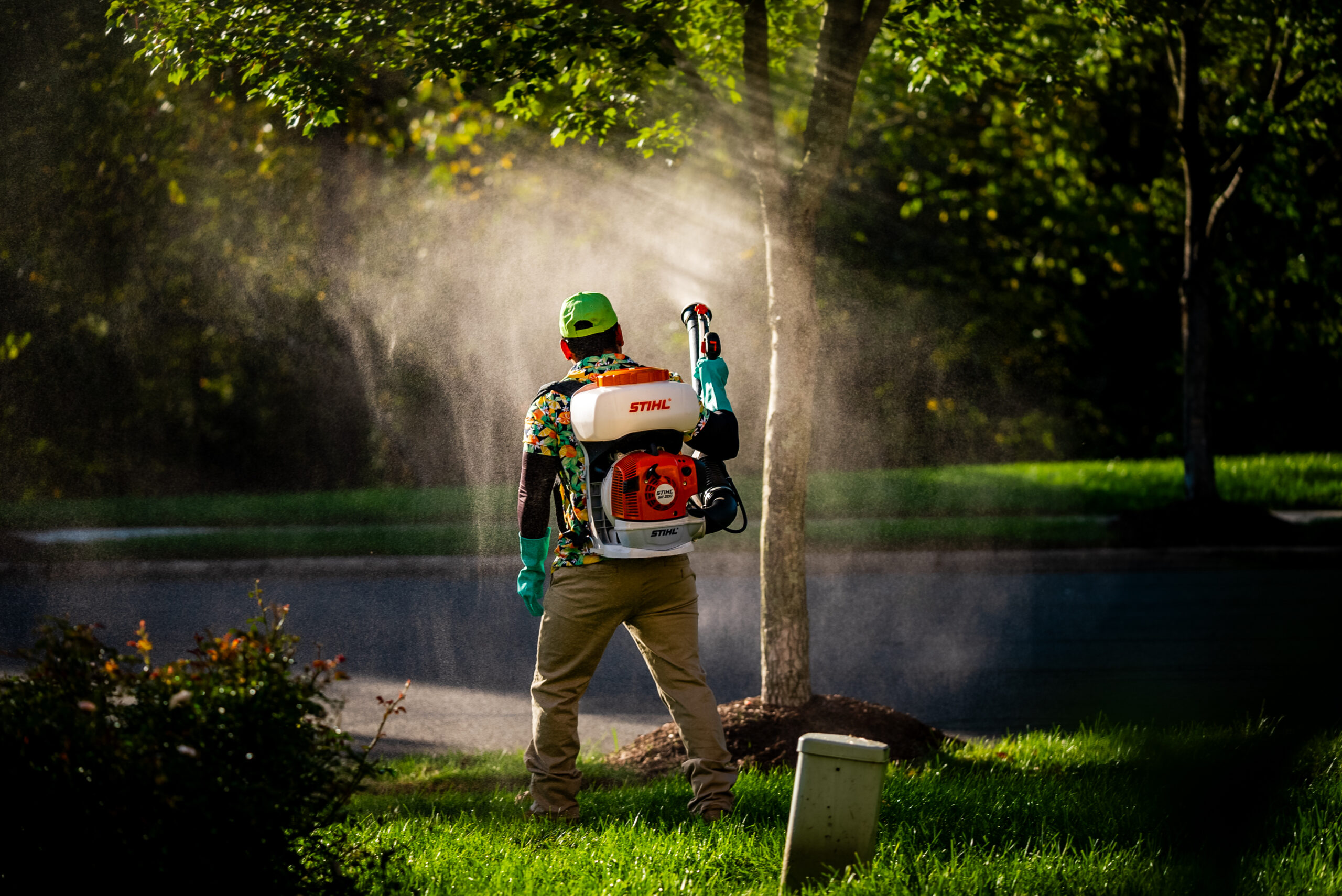 Lawn Pest Control Services