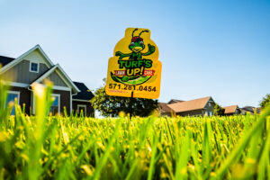 Spring Lawn Fertilization